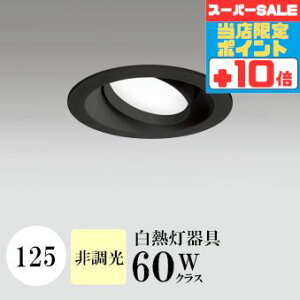 y320`|Cg20{Iz_ECg J125 F(3500K) M60W ubN HKv SB^(C fMޑΉ^) z114° gU tbg`LED