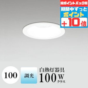 y|CgobNP10{z_ECg J100 F(5000K) M100W zCg HKv SB`(C fMޑΉ^) (ZT[AΉPƃZT[ł͂܂) A~_C