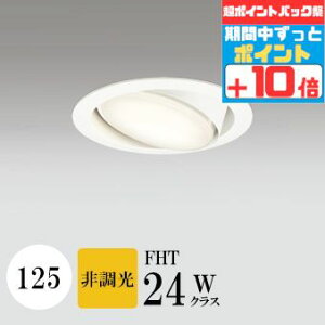 y|CgobNP10{z_ECg J125 jo[T_E ẘpx܂ŌXΓV dFi2700K) SB`(C fMޑΉ^)