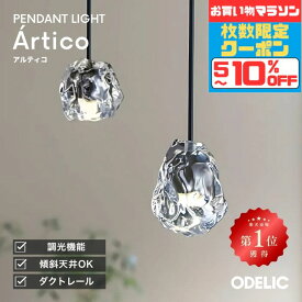 【ただいまポイント5倍！】ペンダントライト ガラス LED おしゃれ 北欧 ダイニング トイレ 階段 1灯 調光可(別売調光器対応) 氷 透明 クリア ダクトレール 直付け 工事取付 天井照明 吊下げ灯 キッチン カウンター リビング モダン シンプル インテリア 室内照明
