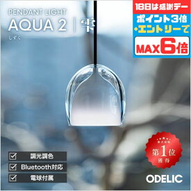 【超ポイントバック祭P10倍】ペンダントライト ダイニング リビング トイレ LED 直付け ダクトレール 傾斜天井可 調光調色 Bluetooth AQUA アクア 雫 アクリル ※工事必要
