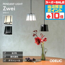 【18日ポイント5倍+エントリーで最大8倍】ペンダントライト 洋室・リビング・ダイニング （表記なし） 工事orダクト 直付用のみ、指定の角度まで傾斜天井可 白熱灯60W相当 電球色(2700K)