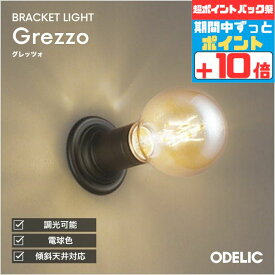 【感謝祭ポイント5倍!!】ブラケットライト 北欧 洋風 屋内用 天井面・傾斜面取付可 電球色(2400K) 調光可(別売調光器対応) ※工事必要壁付け 廊下 シック アンティーク レトロ 電球 球形 ブラック