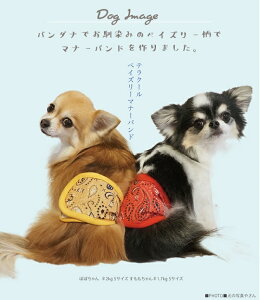 y^E^zy2000~Z[Iz N[N`[ Iׂ }i[oh }i[xg S5 SS-3LTCY [OK N[  