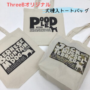 ʃVGbgg[gobN yThreeBIWiz ʁ@obN@ObY @Jo@RbgobO@GRobO@킢@@Č@`@v[h@R[M[@S[f 