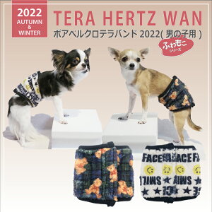 yzZ[JnIzN[N`[ H~@7273@{AxNeohij̎qpj@[SS3L] 