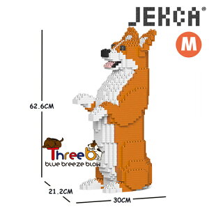JEKCA �W�F�b�J�u���b�N �iM�T�C�Y�j05C �E�F���V���E�R�[�M�[ CM19WC05-M01JEKCA