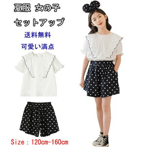 yz̎q ZbgAbv in ĕ q  TVc ʕ V[gpc 2_Zbg ZbgAbv ̎q  2_Zbg TVc V[gpc 2_Zbg ̎q 