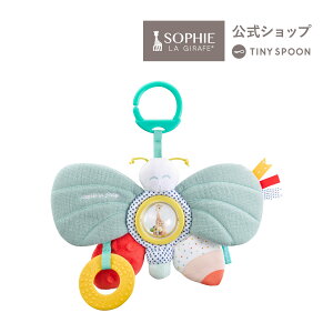 yz o^tC\tB[ 3 0  xr[pi oYj j̎q ̎q Mtg Ԃ V  c  yVulliЁE{Vbvz