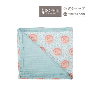 4wƂ  }`XhPbg [Rbg 120cm×120cm tXR +O[ xxI xr[pi oYj j̎q ̎q Mtg Ԃ V  c yxxIE{