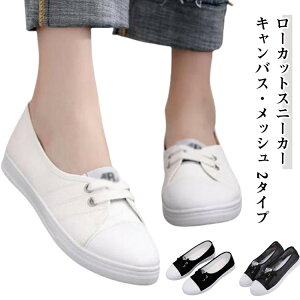  2^Cv _X C ؂ Xj[J[ ₷ bV 킢 [Jbg oGV[Y LoX JWA fB[X  LoX qbvzbv tbg ^