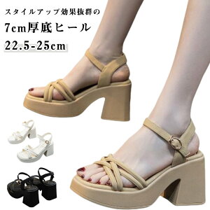 XNGAgD T_  t q[ ubN ItBX T_ ANXgbv AC{[ x[W ʋ ɂȂ 7cm  ₷ r nCq[ gAbv r fB