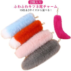 y2ztFCNt@[ Lcl obO`[ L[z_[ 19F 3TCYIׂ ANZT[ ԗp    킢 obO| ӂӂ K L[z_[  t@