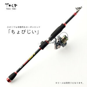 򋗗Abv! ފ т 270cm o! 8.85ft J[{bhȂł͂̂Ȃ₩ V[oXނ CgVAWMO ^ `jO