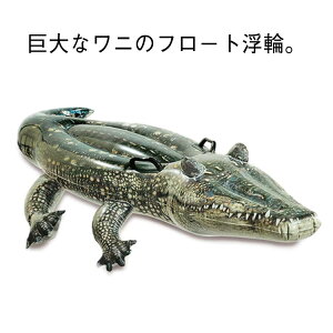  v[ ǂ t[g NR_C   qp q k  j j rj[{[g v[ C r[` ][g v[ WjA LbY q t[g ObY  q