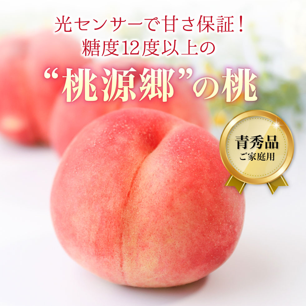 クリアランス価格 あと２日で終了 桃 はつひめ 小ぶり 安価 5kg 取り寄せ オンライン:625円  果物