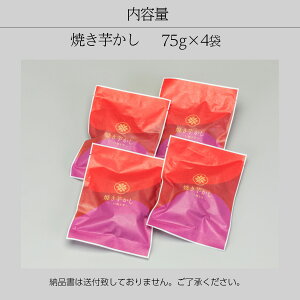 y5%OFFN[|z[MtgpbP[W] Yg͂邩gp 75g Ă Y Ă i ЂƂĂ ₫  ܂ Ă ق  v[g  