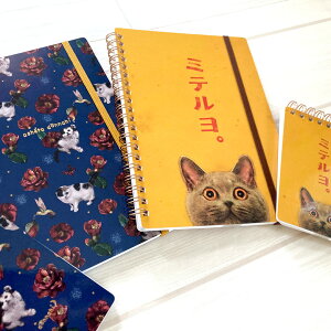 y[4_܂őΉzwVI˂Om[gx