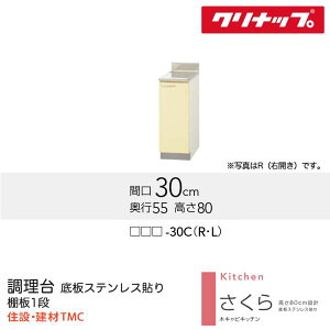 Nibv  V[Y W300 J[ I iTAT/TAY/T4Bj-30CiR/Lj  [J[