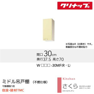 Nibv ~h݌˒IisRdlj V[Y W300  I J[ I WiTAT/TAY/T4Bj-30MFiR/Lj  [J[