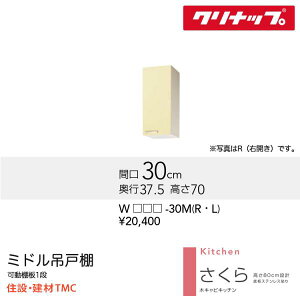 Nibv ~h݌˒I V[Y W300  I J[ I WiTAT/TAY/T4Bj-30MiR/Lj  [J[