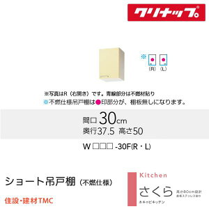 Nibv V[g݌˒IisRdlj V[Y W300  I J[ I WiTAT/TAY/T4Bj-30FiR/Lj  [J[