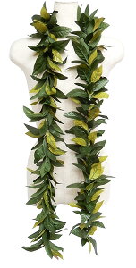 t_Xߑ@C@nC@ԏ@Cxg@t@nCAC@t[C OC@GL-44@nC}C_uI[vC@170cm