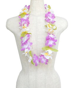 t_Xߑ@C@nCAC@t[C nC@ԏ@Cxg@t@M-33@AEC@p[v@