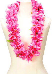 t_Xߑ@C@nCAC@t[C nC@ԏ@Cxg@t@PK-19@j[[C@sN