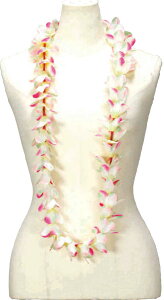 t_Xߑ@C@nCAC@t[C nC@ԏ@Cxg@t@PK-30@AnvAVOC122cm@sN