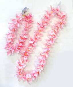 t_Xߑ@C@nCAC@t[C nC@ԏ@Cxg@t@PK-46@AnvAVOC+wbhohZbg@sN