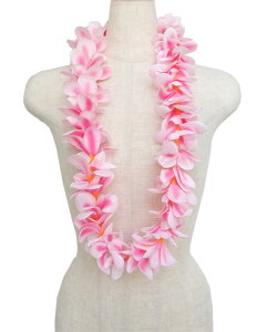 t_Xߑ@C@nC@ԏ@Cxg@t nCAC@t[C@PK-46@AnvAVOC@sN