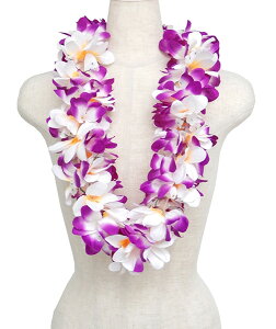 t_Xߑ@C@nCAC@t[C nC@ԏ@Cxg@t@PP-23@EvAC @p[vzCg@@