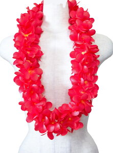 t_Xߑ@C@nCAC@t[C nC@ԏ@Cxg@t@R-26@JvA_uC@J[}Cbh@