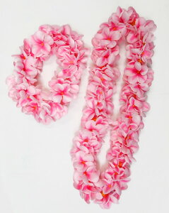 t_X@C@nC@vA@t_Xߑ@t@PK-25LH@AnvA_uC+wbhohZbg@sN