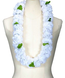 t_Xߑ@C@nCAC@t[C nC@ԏ@Cxg@t@W-16@j[J[l[V_uC@zCg 