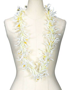 t_Xߑ@C@nCAC@t[C nC@ԏ@Cxg@t@W-27@XpC_[[C@zCg@