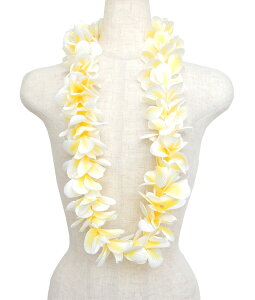 t_Xߑ@C@nC@ԏ@Cxg@t nCAC@t[C@W-59@AnvAVOC@zCgCG[@