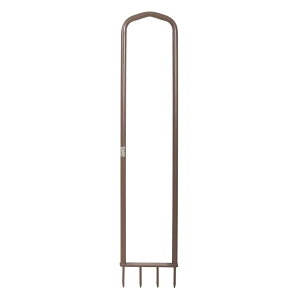 AMESiGCXjXpCNGA[^[ 2917400