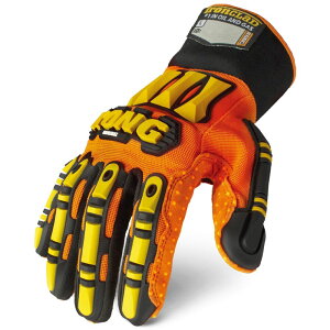 AEgbg IRONCLAD(ACANbh) KONGIWi O[u SDX2