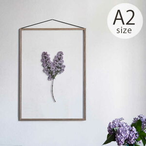 MOEBE ムーベ FRAME フレーム A2 オーク ポスターフレーム 北欧 おしゃれ A2 木製 フレーム 額縁 インテリア 押し花 アート 【送料無料】
