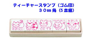 Tr[ eB[`[X^vS(5{g)30mmp(ؐP[XCXg搶X^v@]@tpقуX^v@ۈ牀ctij