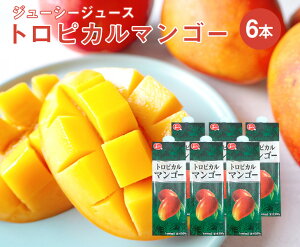 yzW[V[ gsJ}S[ W[X 1000ml × 6{iP[Xjy }S[ ʏ`30 ƒp v[g  t[c Mtg 蕨   ܂ ʕz