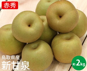 yz挧Y VÐ@ԏGy2kg 5`7ʓzy Ȃ iV  挧 ܂  ƒp 蕨  Mtg j Ԃ t[c  ܂ ʕz
