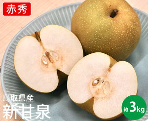 yz挧Y VÐ@ԏGy3kg 7`11ʓzy Ȃ iV  JAS_ƂƂ ܂  { p 蕨 Mtg i t[c  ܂ ʕz