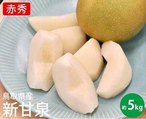 yz挧Y VÐ@ԏG y 5kg 10`16ʓzy Ȃ iV  挧 ܂  { p 蕨 Mtg i t[c  ܂ ʕ z