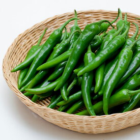 青唐辛子450g【青唐辛子 激辛 韓国調味料 調味料 韓国食品】