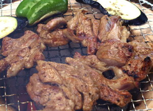 y؂W[V[ WMXJ zeʂłTxct@[̓t WMXJ 600gy Mtg z(  Hi r  Mtg v[g yY j oYj 