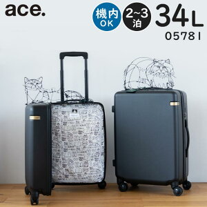 ye험pŃ|Cgő27{Iz ace. ^HAyU×ace. pL (34L) lR t@Xi[^Cv X[cP[X 2`3p 3Ӎv115cm @݃TCY 05781
