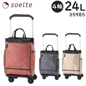 ye험pŃ|Cgő27{Iz soelte \Ge Jh2 L[ 24L a4 LX^[Xgbp[ VbsOJ[g jp ACE 35985